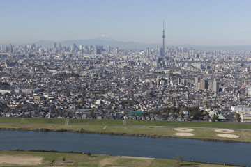 Naklejka premium Tokyo city, Japan