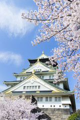 Fototapeta premium 桜と春の大阪城