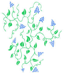 Creative grape with leaf.
