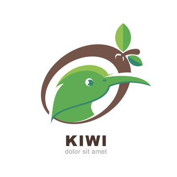 Head of kiwi bird in shape of kiwi fruit, vector 