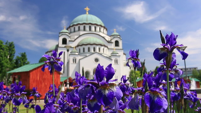 Temple of Saint Sava and beautiful flowers in Belgrade - Serbia