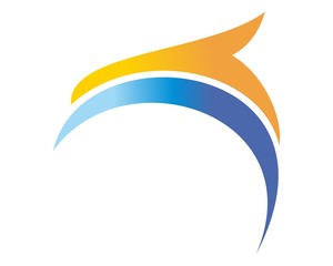 Obraz premium color falcon eagle consulting financial