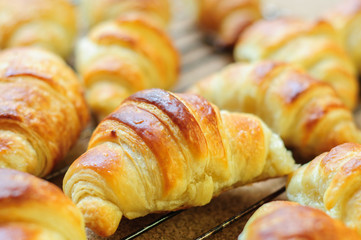 Fresh baked croissants on metallic rack