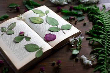 floral mix of pressed and dried spring flowers and leafs rustic