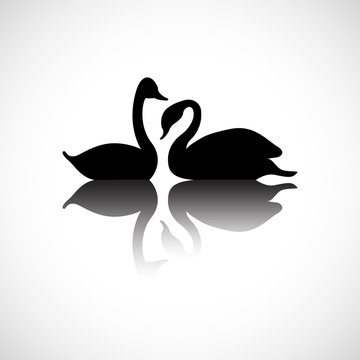 Silhouette of twins black swan on water with shadow