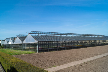 Obraz premium Gewächshaus