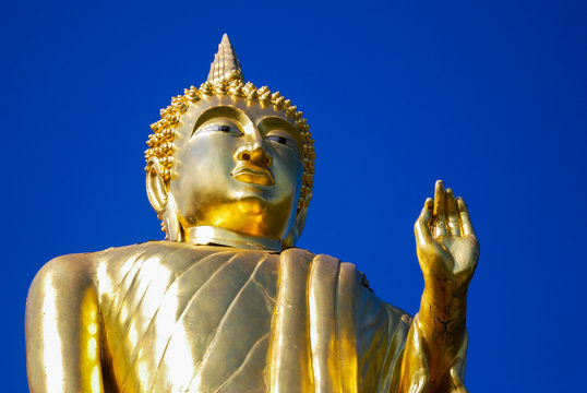 Buddha Statue with blue background 