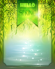 Spring background with willow and water.