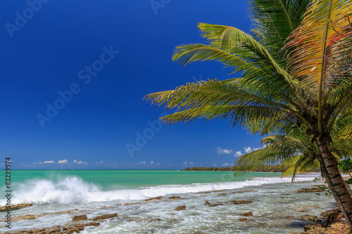 Guadeloupe Plage Ce Cluny Photo Libre De Droits Sur La