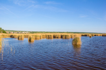 Beach In Mörbisch At Lake Neusiedl