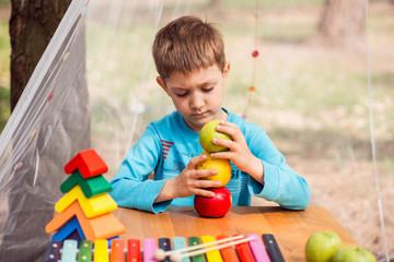 young boy with apples, wooden toys in the park
