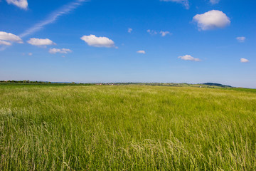 Obraz premium Beautiful Landscape Green Barley Blue Sky 