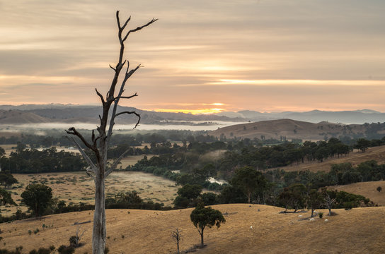 Mist In The Goulburn River Valley In Australia