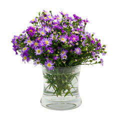 Naklejka na ściany i meble Bouquet purple daisy in vase