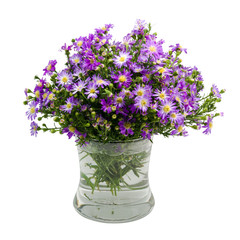 Bouquet purple daisy in vase