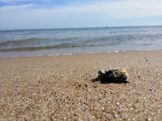 Plaża