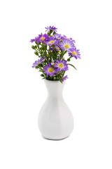 Bouquet purple daisy in vase