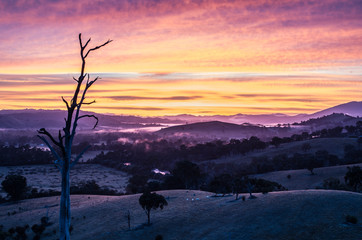 Colourful sunrise over a foggy valley in Australia