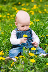 Cute baby boy sitting on a lawn with dandelions