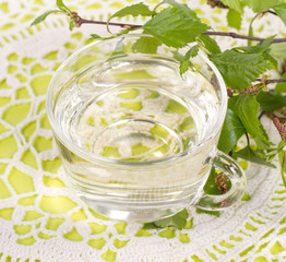 isolated a transparent cup of birch juice with birch leaves