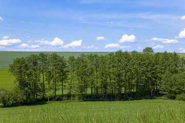 Obraz premium バイエルン地方の田園風景