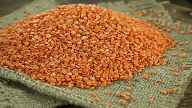Rotating Red Lentils (loopable)