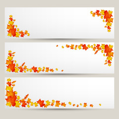 Naklejka na ściany i meble Vector set of colorful autumn leaves banners 
