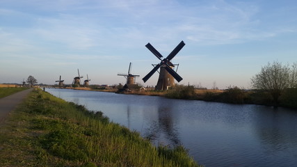Naklejka premium Antique windmills in Kinderdijk Netherlands