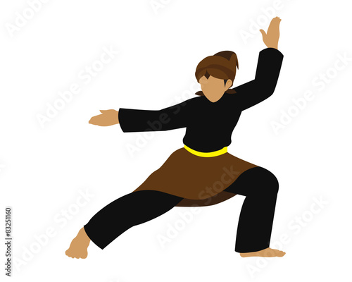  Pencak Silat Stock image and royalty free vector files 