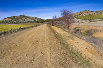Fototapeta na wymiar Camino del Collado en Noez. Toledo