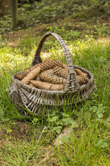 Basket full of cones