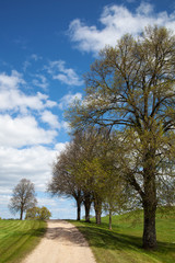 Obraz premium Gravel road.