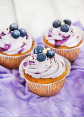 Set of tasty blueberry cupcakes