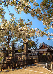 Świątynia japońska w Kioto