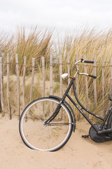 Fototapeta premium Hollandrad am Strand