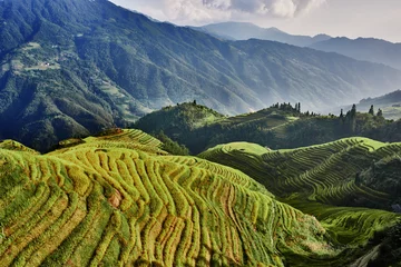 Printed roller blinds Rice fields rice terraced fields Wengjia longji Longsheng Hunan China