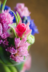 Obraz premium Spring flower tulip in bouquet macro soft