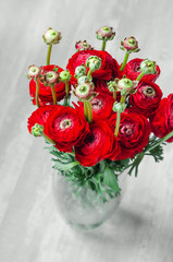 Colorful red bouquet of flowers ranunculus spring on vase