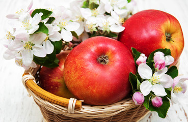 apples  and apple tree blossoms