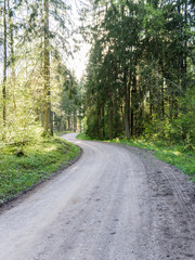 Fototapeta na wymiar empty country road in forest
