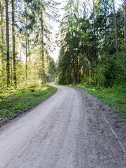 Fototapeta na wymiar empty country road in forest