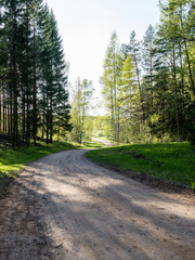 Obraz premium empty country road in forest