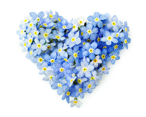 Forget-me-not flowers  in a shape of a heart