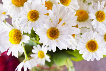 Daisies