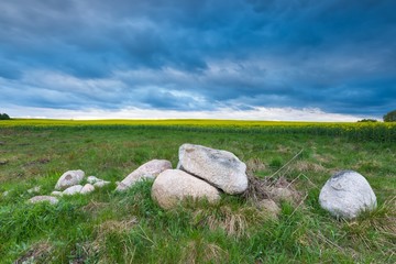 Big stones on green field