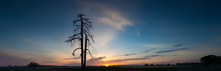 Sunrise over green field