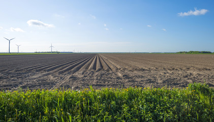Fototapeta premium Waving grass along a plowed field in spring