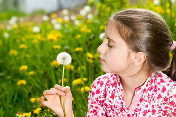 little girl on the meadow in  spring day - blowing dandelion