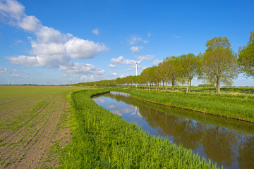 Fototapeta na wymiar Canal meandering through the countryside in spring