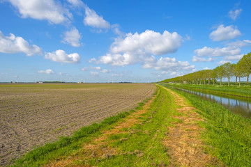 Fototapeta na wymiar Canal along a plowed field with furrows in spring